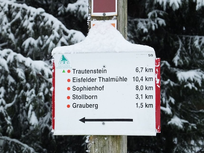 Schlittenhunderennen in Benneckenstein