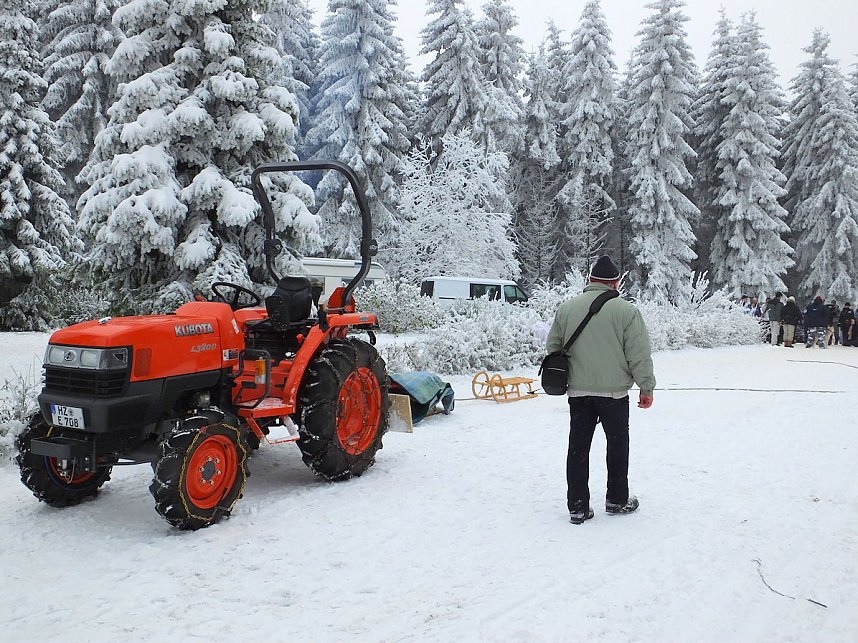 Schlittenhunderennen in Benneckenstein
