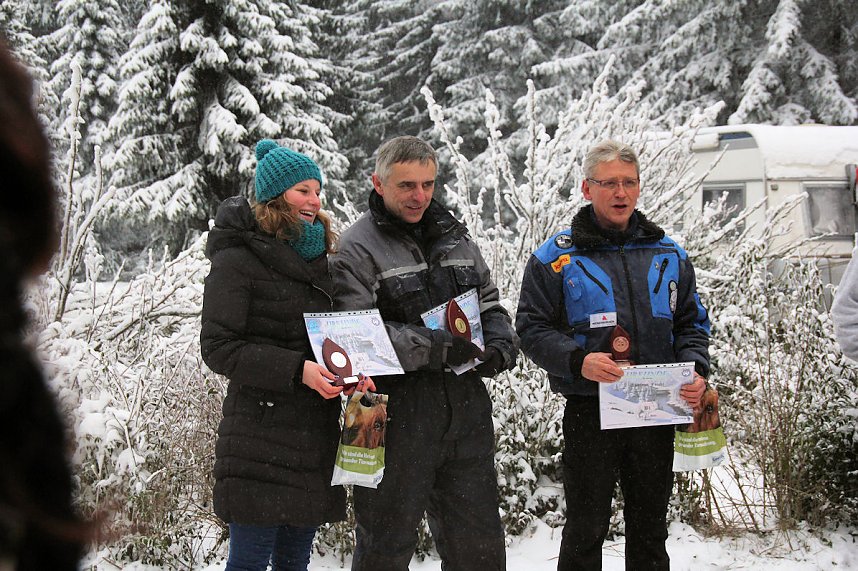 Schlittenhunderennen in Benneckenstein