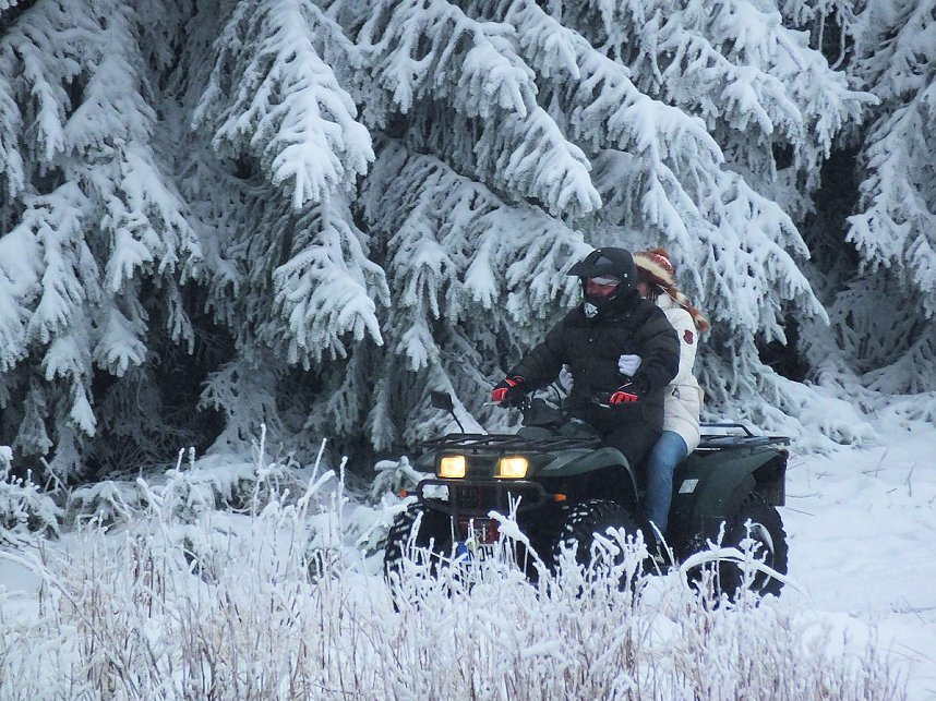 Schlittenhunderennen in Benneckenstein