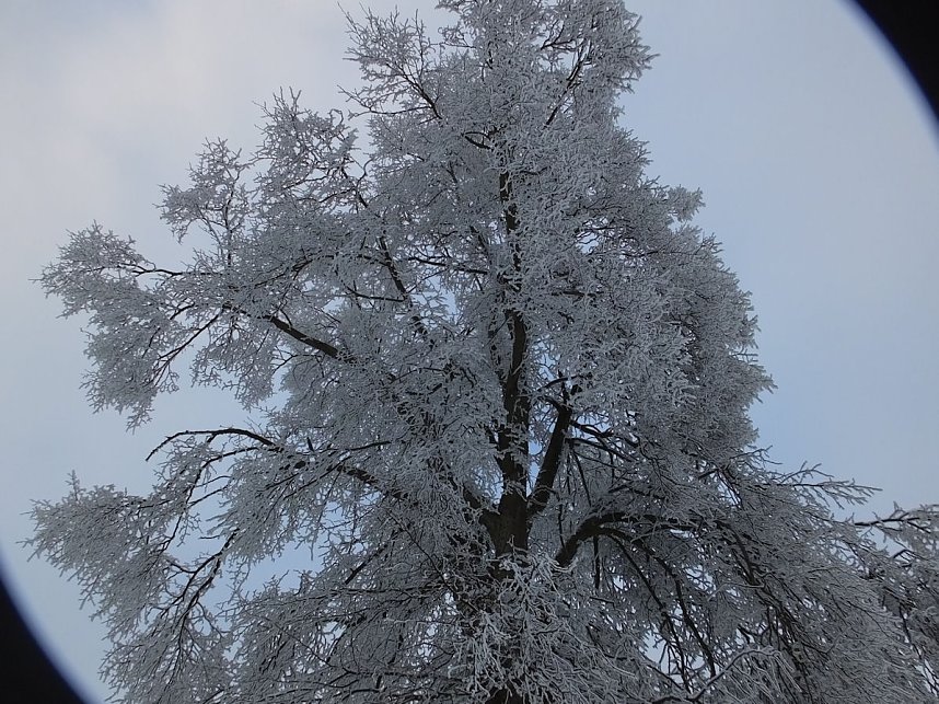 Der Oberharz am Brocken