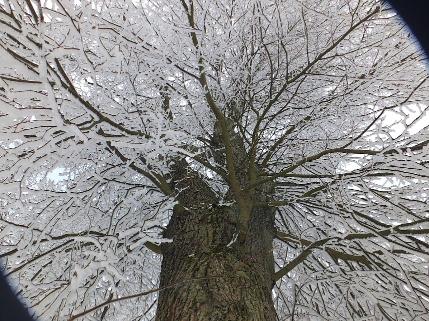 Der Oberharz am Brocken