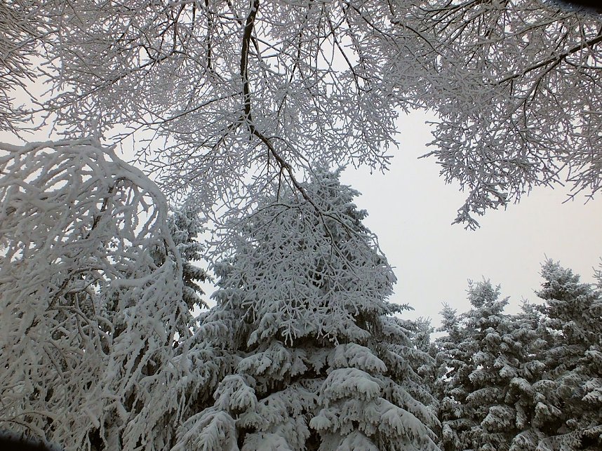 Der Oberharz am Brocken