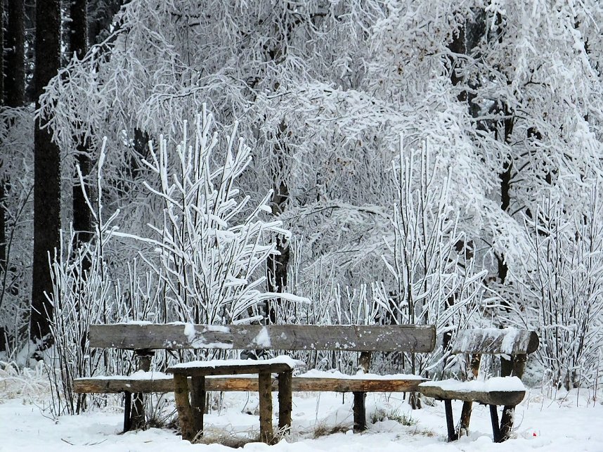Der Oberharz am Brocken
