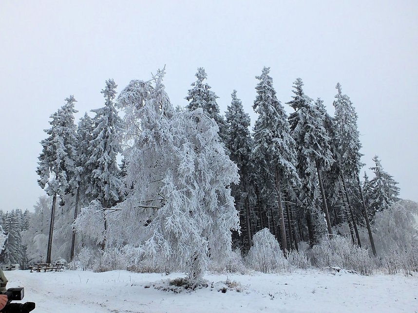 Der Oberharz am Brocken