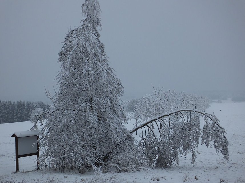 Der Oberharz am Brocken