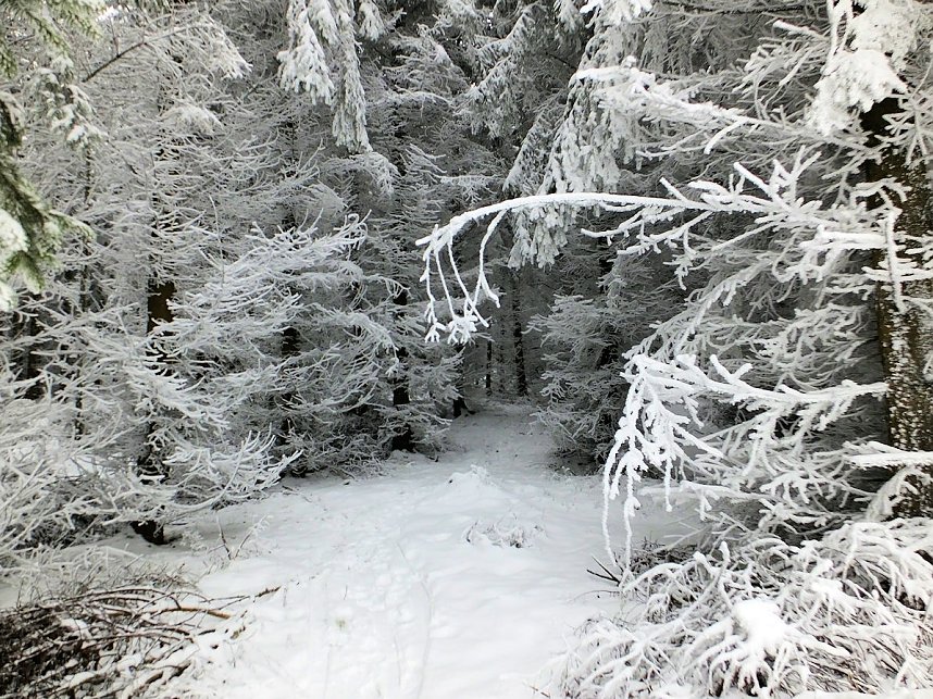Der Oberharz am Brocken