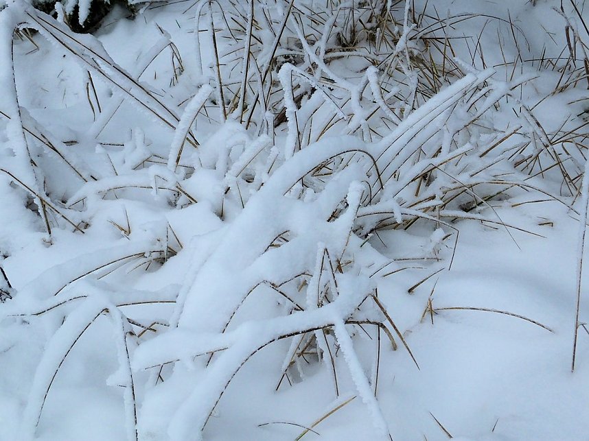 Der Oberharz am Brocken
