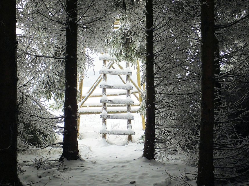 Der Oberharz am Brocken