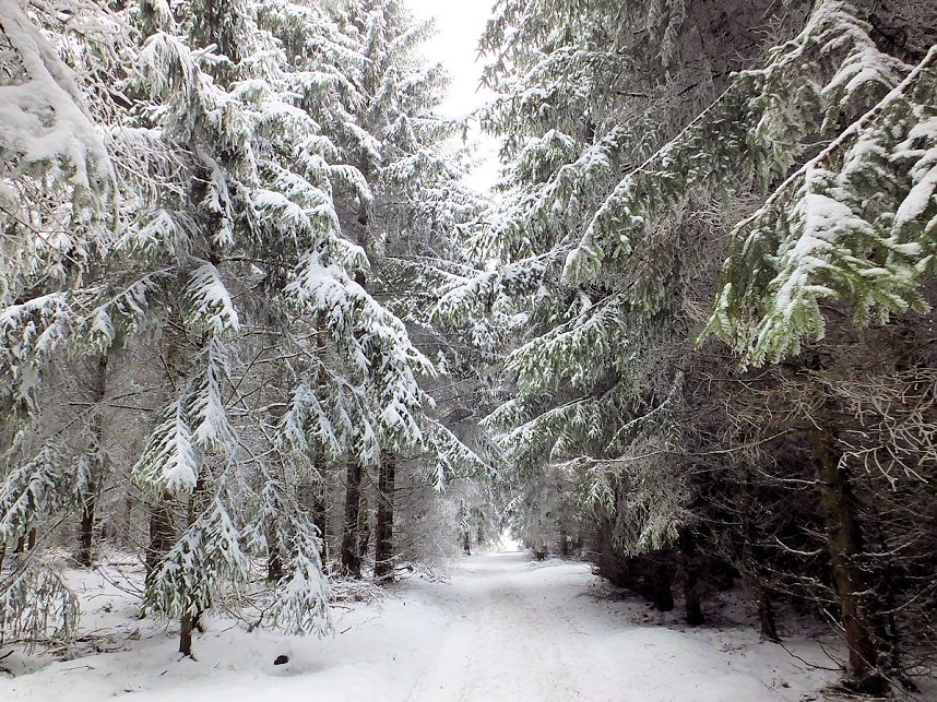 Der Oberharz am Brocken