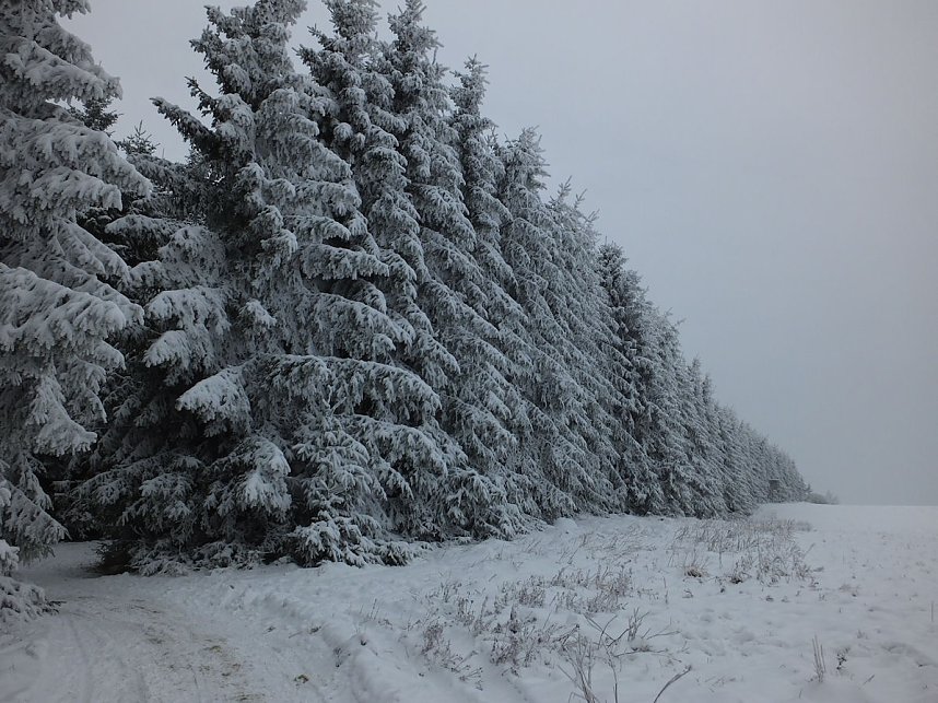 Der Oberharz am Brocken