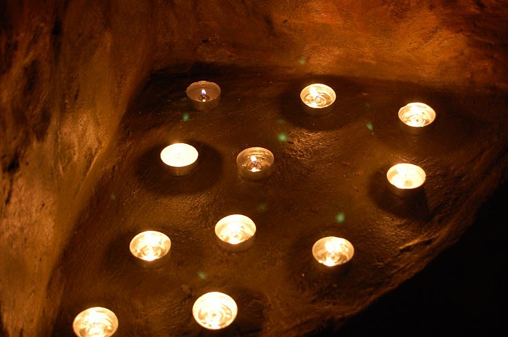 Nanderwanderung im  Nordh&auml;user Zoo nnz-City Scout on Tour