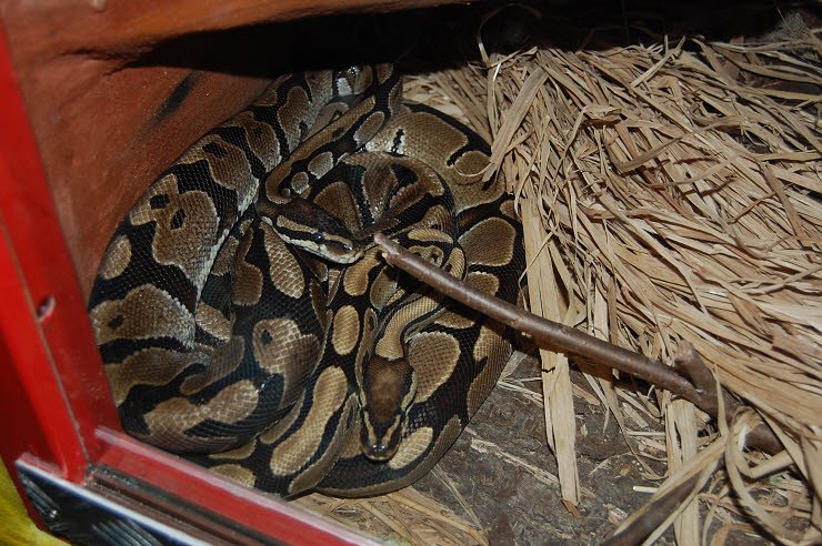 Nanderwanderung im  Nordh&auml;user Zoo nnz-City Scout on Tour