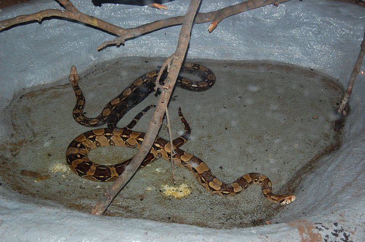 Nanderwanderung im  Nordh&auml;user Zoo nnz-City Scout on Tour