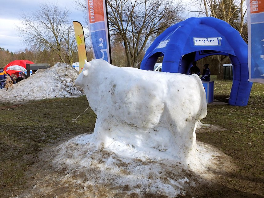 Winterm&auml;rchen in Hasselfelde
