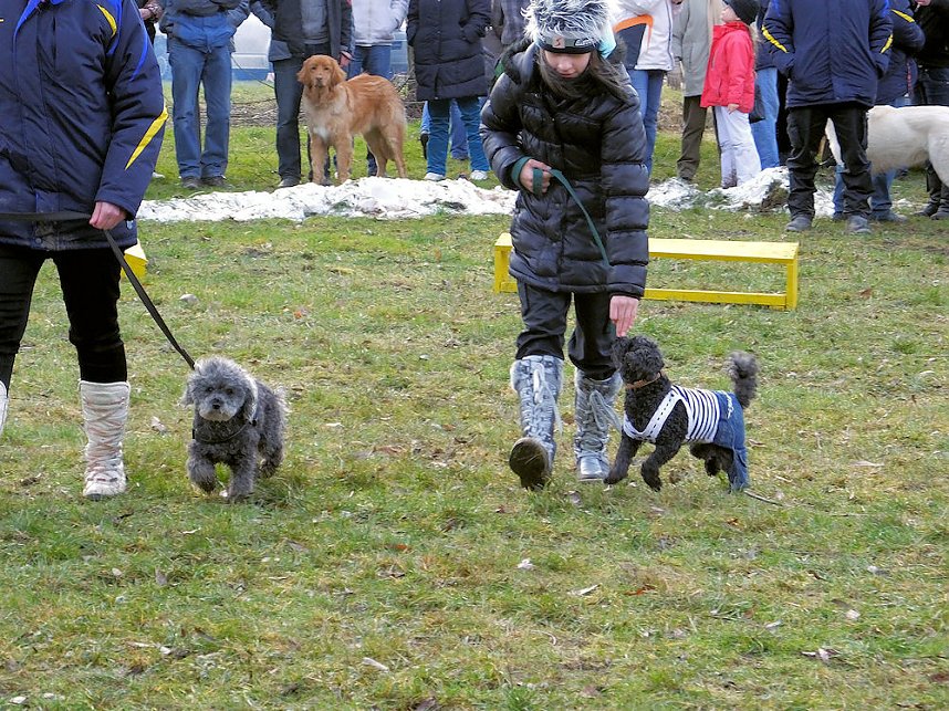 Winterm&auml;rchen in Hasselfelde
