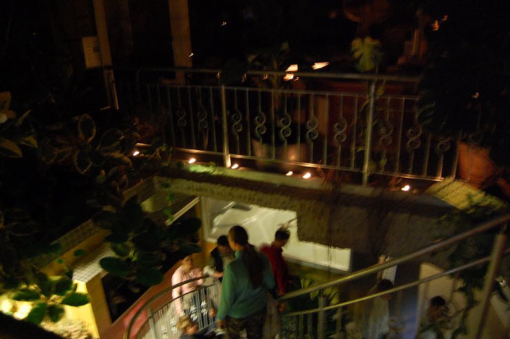 Nanderwanderung im  Nordh&auml;user Zoo nnz-City Scout on Tour