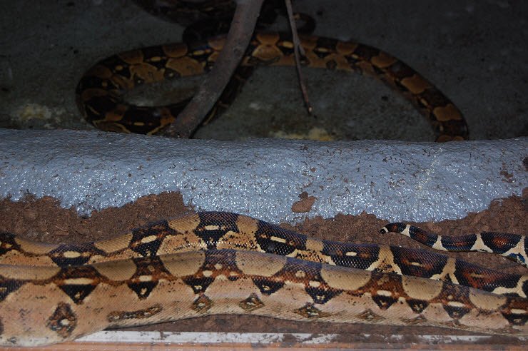 Nanderwanderung im  Nordh&auml;user Zoo nnz-City Scout on Tour