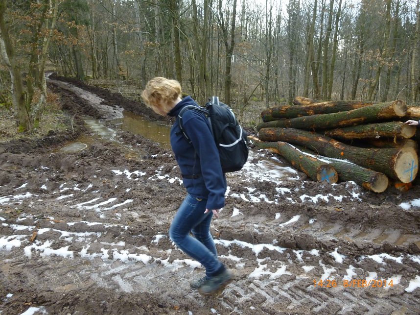 Durch den S&uuml;dharz