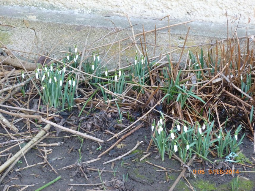 Durch den S&uuml;dharz