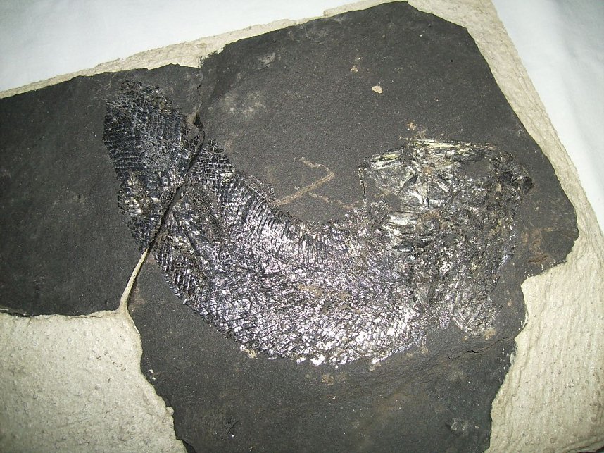 Interessante Welt unter Tage