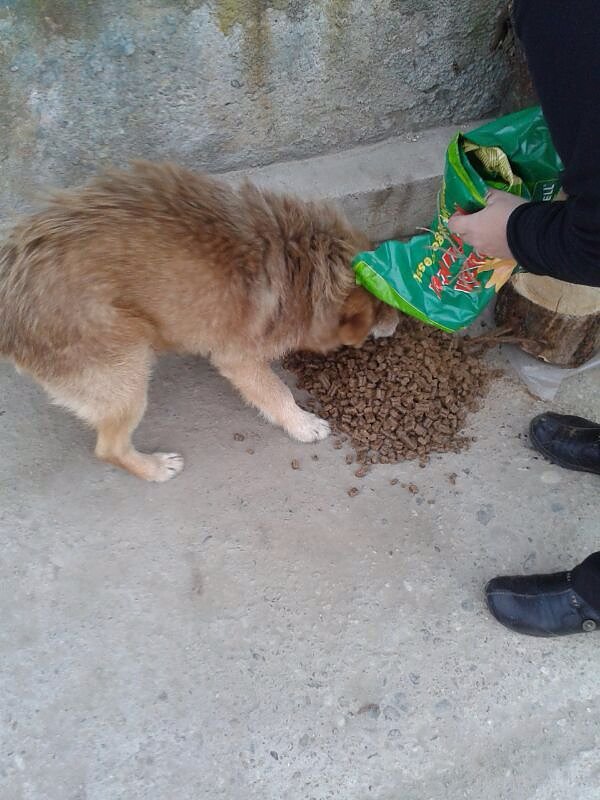 Noch einmal Spenden erw&uuml;nscht