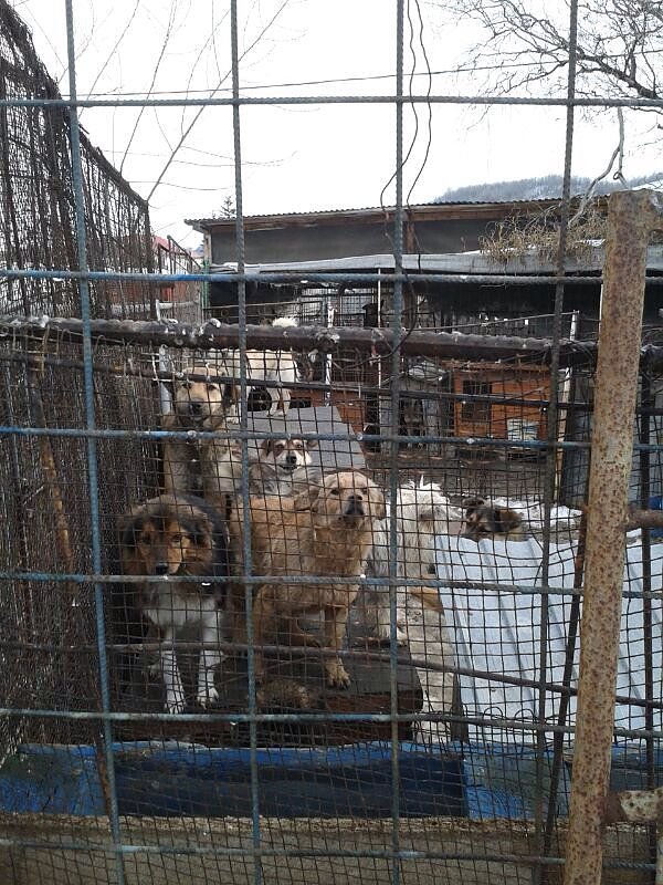 Katastrophale Zust&auml;nde