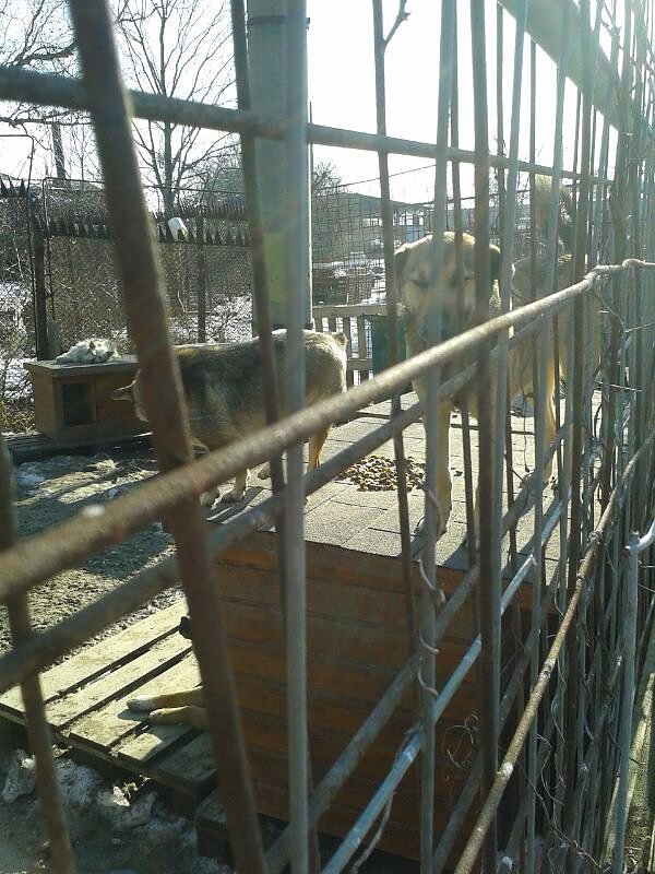 Katastrophale Zust&auml;nde