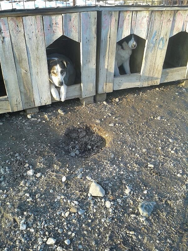 Katastrophale Zust&auml;nde