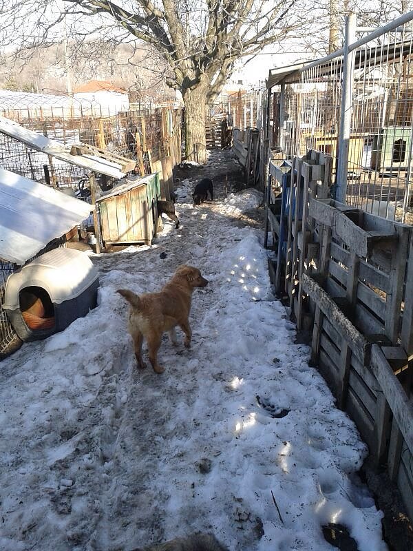 Katastrophale Zust&auml;nde