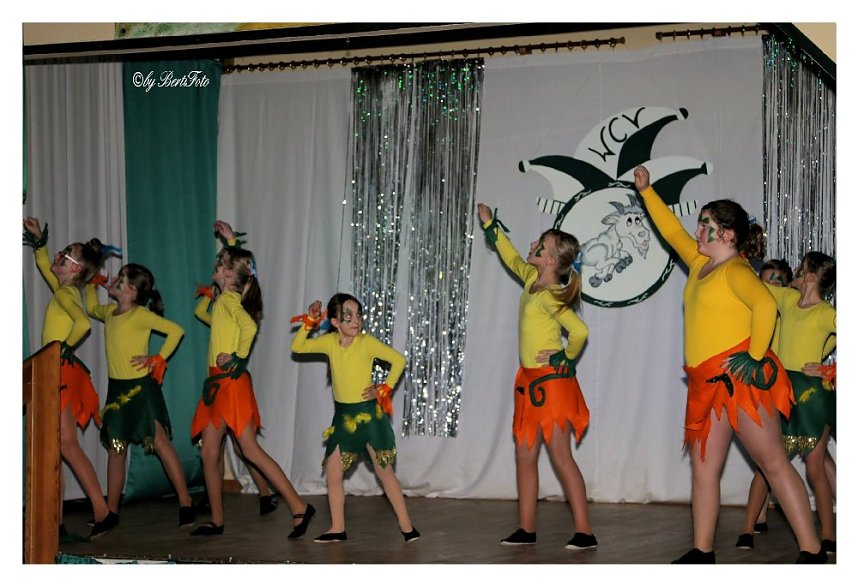 Karneval in W&uuml;lfingerode