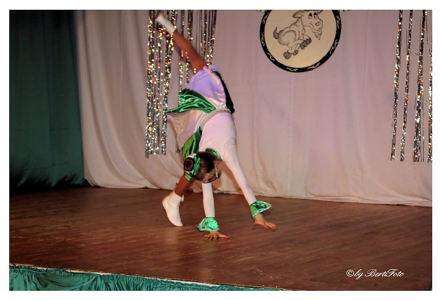 Karneval in W&uuml;lfingerode