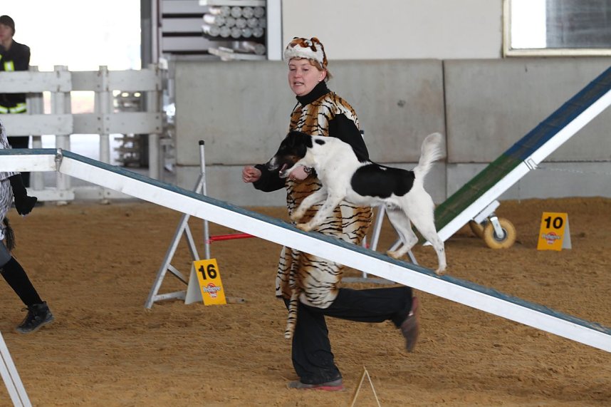Hundesport und Faschingskost&uuml;m