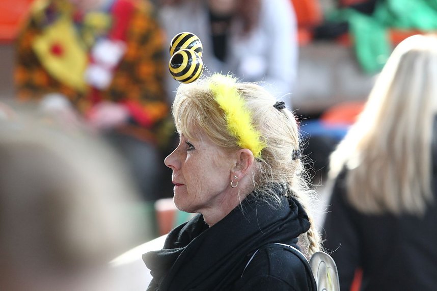 Hundesport und Faschingskost&uuml;m