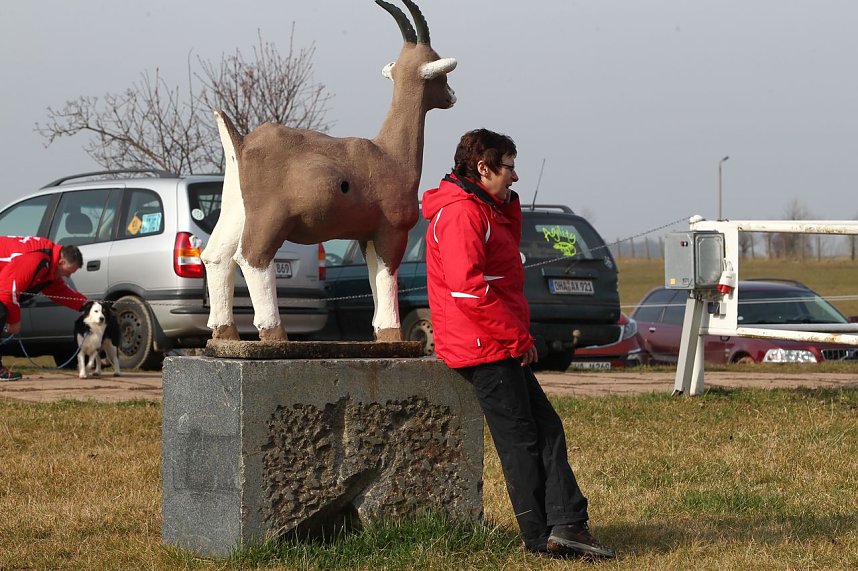 Hundesport und Faschingskost&uuml;m