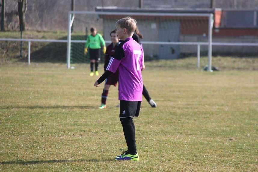 Kantersieg in der Goldenen Aue