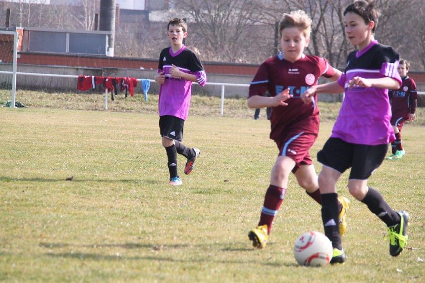 Kantersieg in der Goldenen Aue