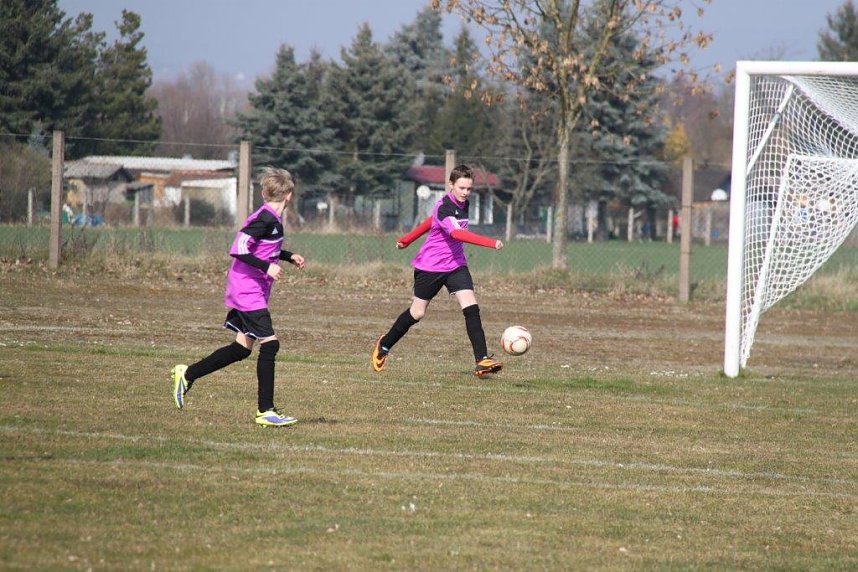 Kantersieg in der Goldenen Aue