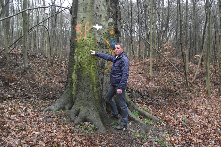 Axel Axt, der Nordh&auml;user Stadtf&ouml;rster, fungiert als Cheforganisator. Sein Organisationstalent kann den�Einsatz-Erfolg�am 4. April ma&szlig;gebend beeinflussen. OB Zeh unterst&uuml;tzt die Aktion.