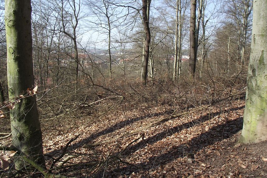 F&uuml;r das Gehege werde eine Konzeption erarbeitet, wie das mit dem Stadtpark geschah. Eine baldige Umsetzung w&auml;re w&uuml;nschenswert. Bis dahin, davon zeugt auch dieses Foto, bleibt noch viel zu tun.