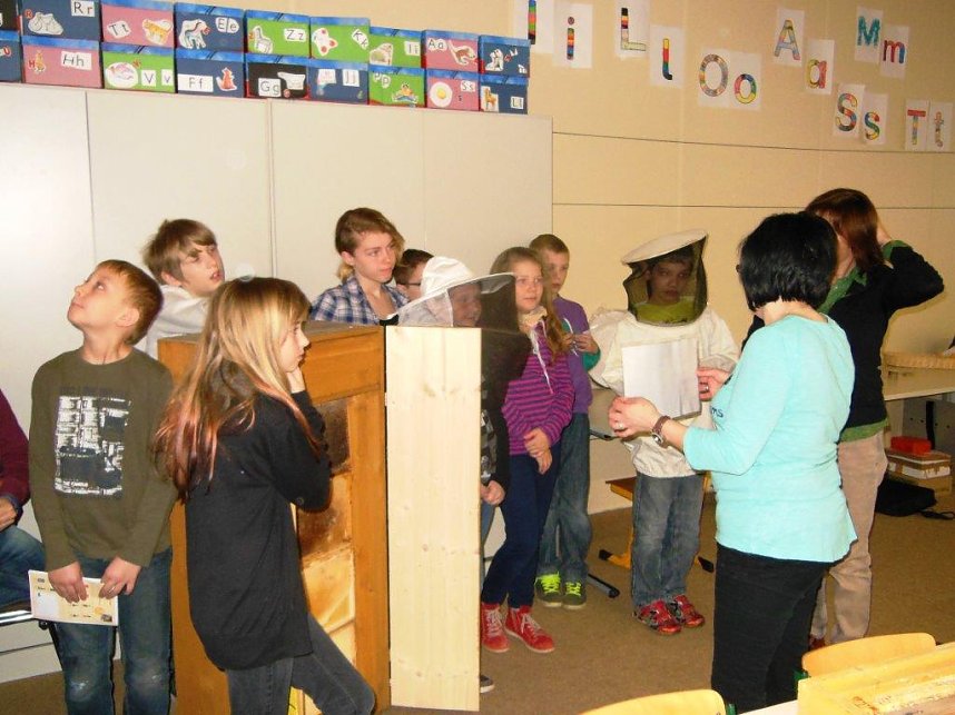 Bienenforscher in Harztor