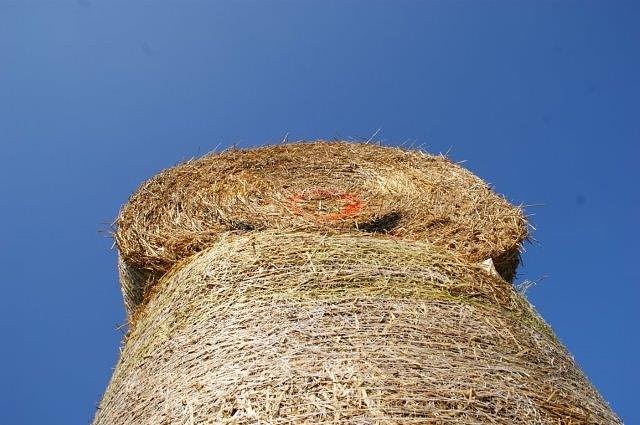 Es "ostert" in Obergebra