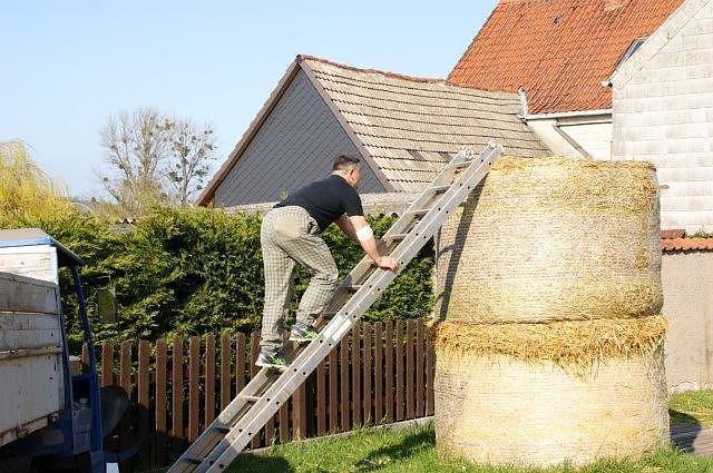 Es "ostert" in Obergebra