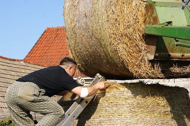Es "ostert" in Obergebra