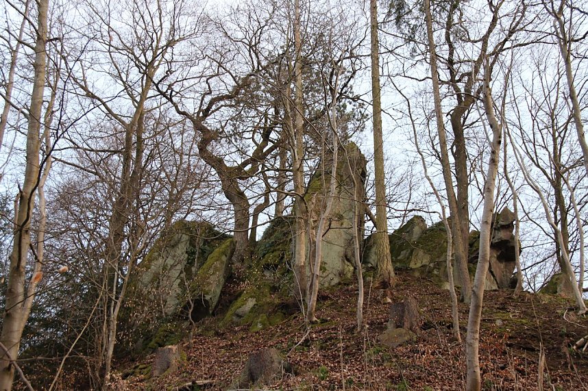 MTB-Saison er&ouml;ffnet