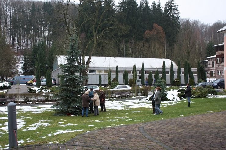 Der Weihnachtsbaum steht