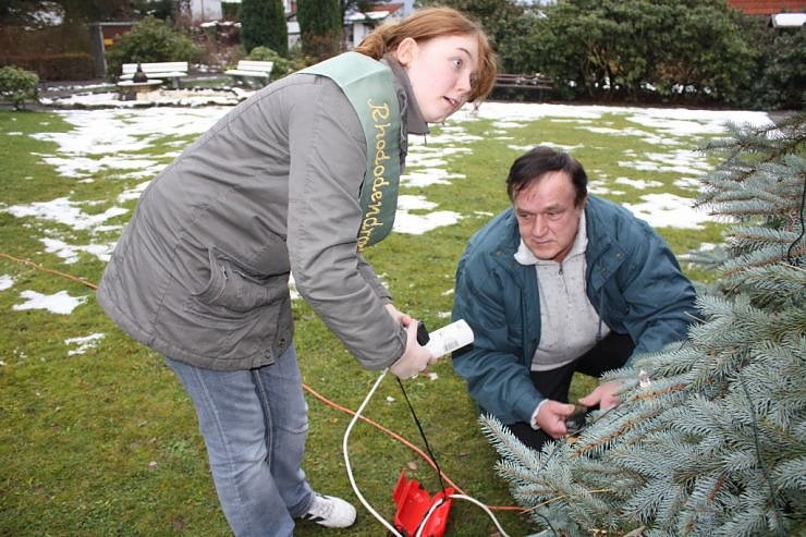 Der Weihnachtsbaum steht