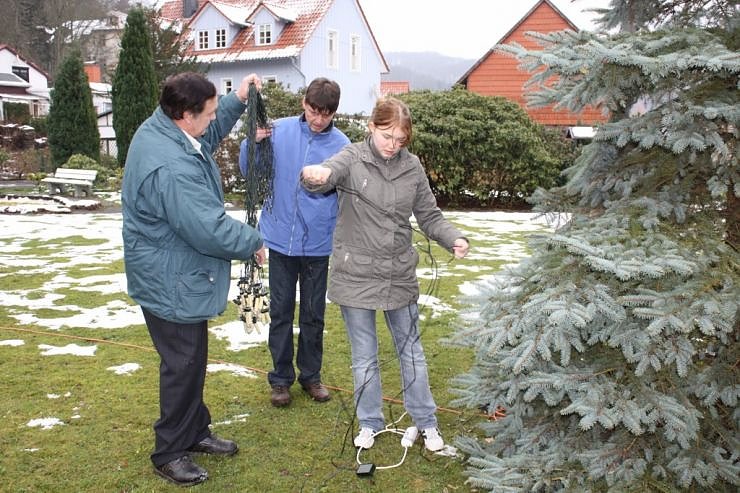 Der Weihnachtsbaum steht