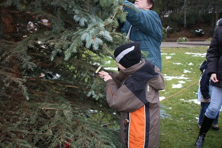 Der Weihnachtsbaum steht