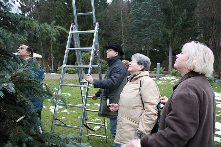 Der Weihnachtsbaum steht